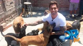 	Thiago Cunha será voluntario en albergue de perros