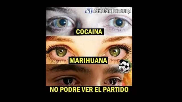 Perú vs. Ecuador: memes calientan la previa del partido por Eliminatorias-foto-10