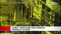 Los Olivos: Ladrón trepó pared para entrar a robar en una vivienda