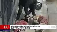 San Martín de Porres: Atacan con desarmador a perro que vigila vecindario