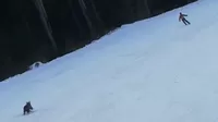 YouTube: Oso salvaje persigue a esquiador en plena bajada por una pista de esquí