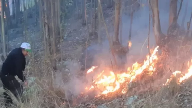 Incendio forestal en Áncash. Foto: Andina