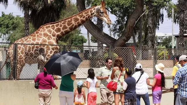 Los asistentes que visiten el parque podrán disfrutar de la gran colección zoológica  / Foto: Archivo El Comercio
