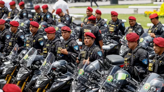 Anuncian creación de nueva división policial contra el crimen transnacional