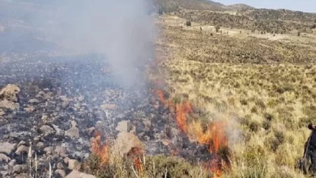 Incendio forestal en Arequipa. Foto: Agencia Andina 