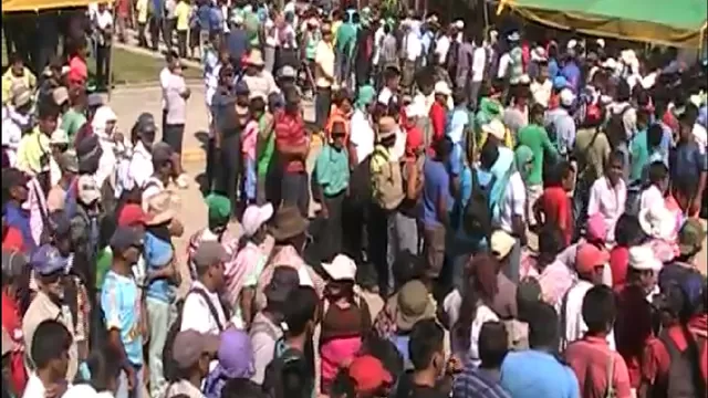 Más de 10 mil cocaleros protestan en la zona