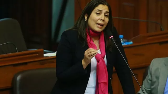 Grupo parlamentario tendrá 180 días para investigar / Foto: Andina