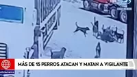 Chiclayo: más de 15 perros atacan y matan a vigilante