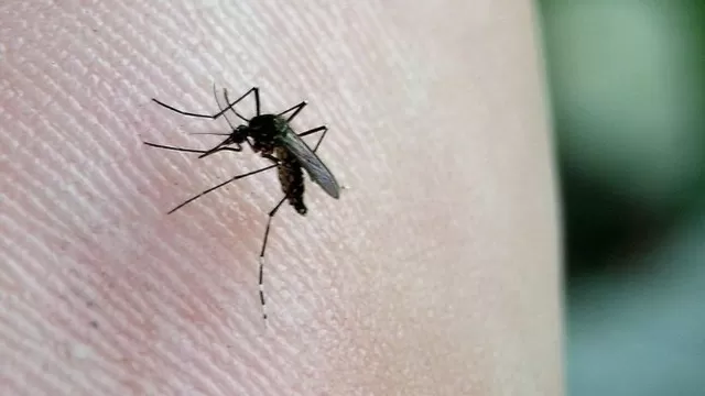 Chikungunya: Gobierno levanta la alerta nacional por el virus 