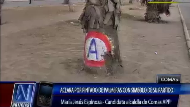 Palmeras pintadas en Comas: candidata de APP culpó a opositores de daño ecológico