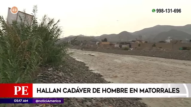 Comas: Hallan cadáver de hombre en matorrales cerca del río Chillón