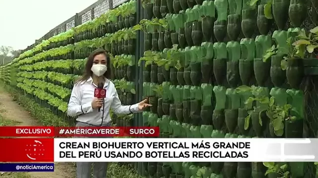 Crean el biohuerto vertical más grande del Perú, usando botellas recicladas