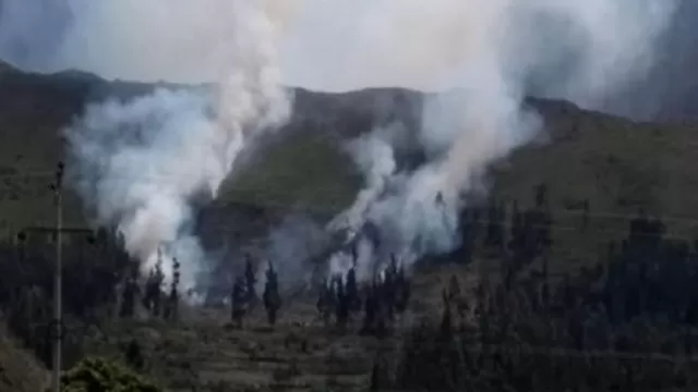 Dos incendios forestales en Cusco. Foto: Referencial/Agencia Andina