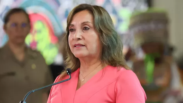 Dina Boluarte: Poder Judicial declaró inadmisible apelación en el caso de presunto plagio de libro