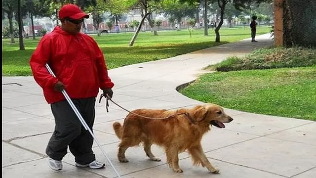 Establecen reglamento de uso de perros guías para personas con discapacidad