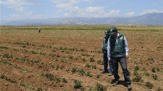 El Niño Global: Gobierno aprobó decreto para apoyar a agricultores ante sequía
