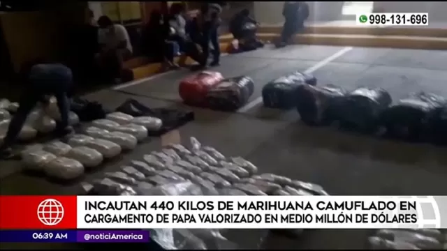 Incautan 440 kilos de marihuana camuflada en cargamento de papa valorizado en medio millón de dólares