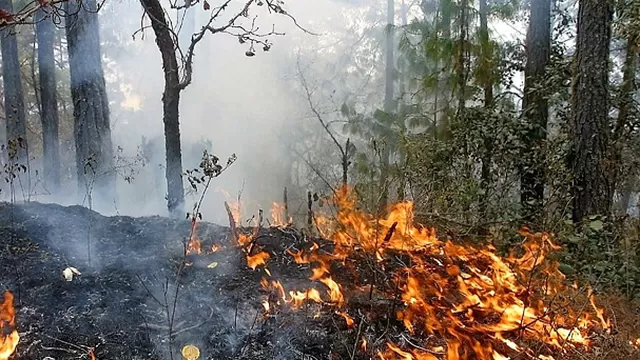 Incendios forestales se reportan en Cerro de Pasco