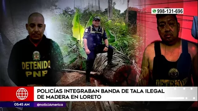 Loreto: Policías integraban banda de tala ilegal de madera