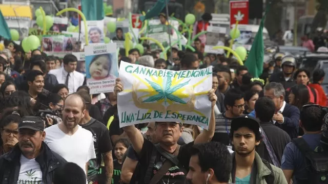 De ser aprobado, el suministro del cannabis estará a cargo de entidades del Estado / Andina