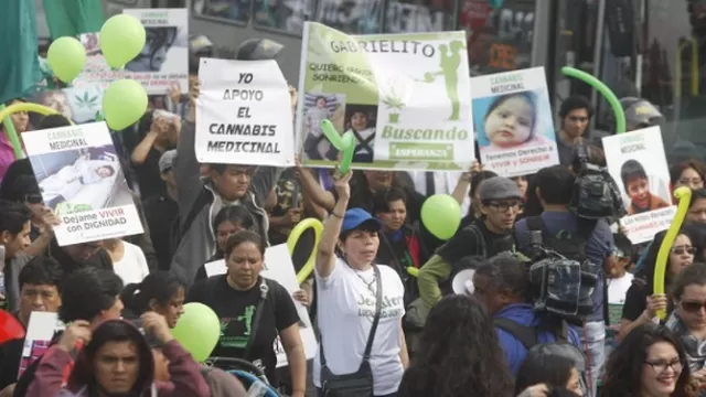 El proyecto sobre el cannabis medicinal fue aprobado el último jueves en el Congreso. Foto: Andina