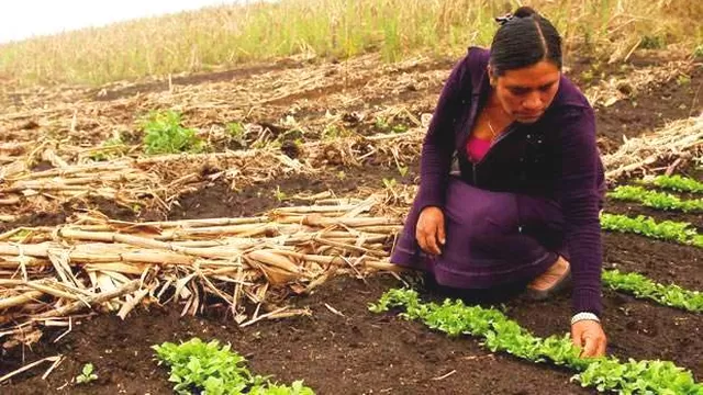 Mujer trabajando en el campo. Foto referencial: ella.paraguay.com