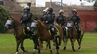 Policía montada patrullará 11 distritos de la capital desde este viernes