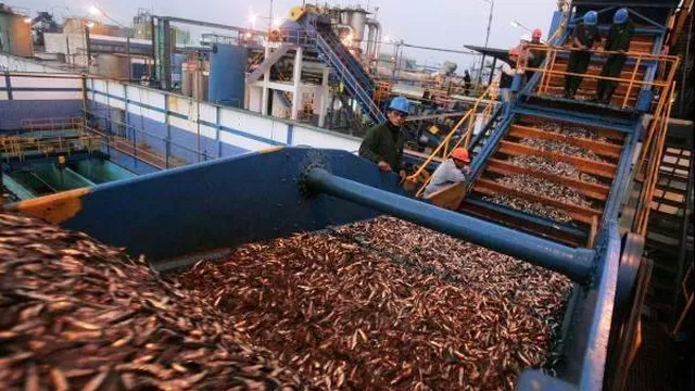 Produce: Se pescó más del 81% de cuota de anchoveta para primer semestre