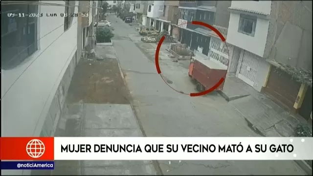 San Martín de Porres: Hombre fue acusado de matar al gato de su vecina 