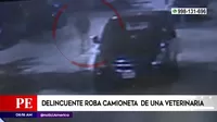 Surco: Delincuente roba camioneta de una veterinaria