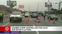 Surco: Hombre murió atropellado en la Panamericana Sur por auto que se dio a la fuga 