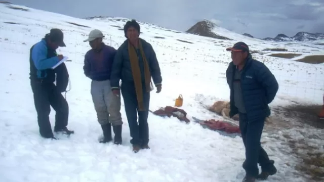 Descenso de temperaturas en la sierra del país. Foto: Andina