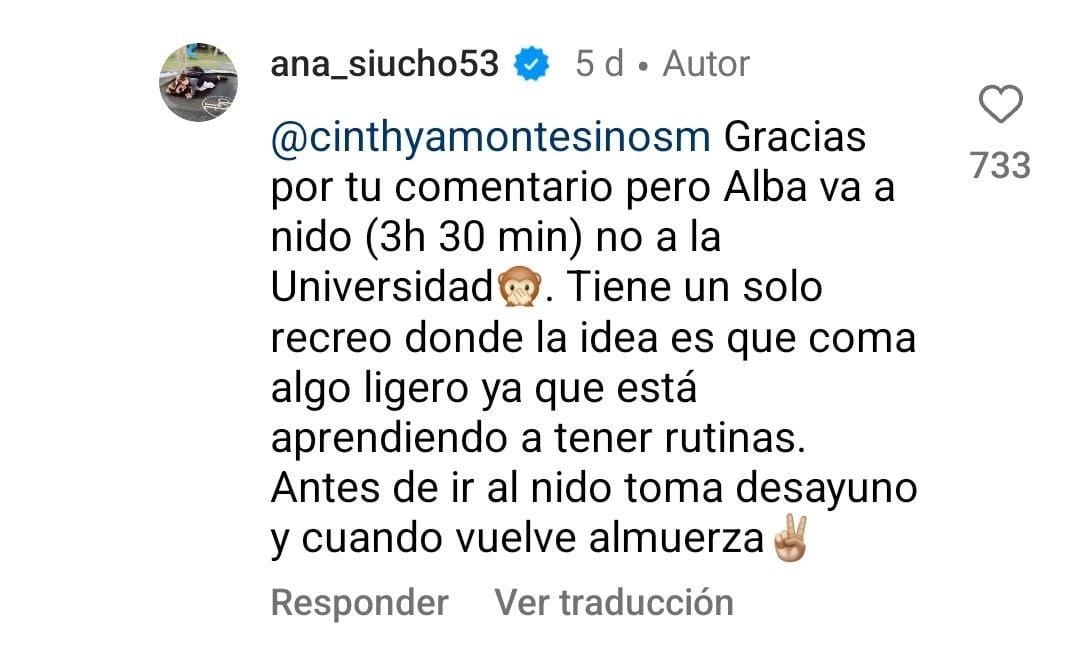 Ana Siucho: Su fuerte respuesta tras recibir críticas por su "lonchera saludable" para niños