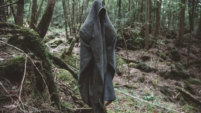 El Bosque Siniestro: conoce más del bosque Aokigahara en el que se inspiró la película