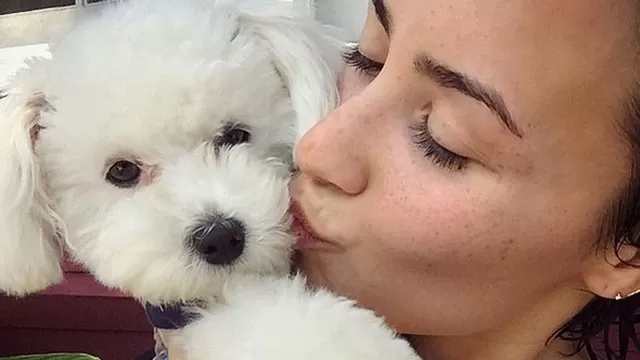 Demi Lovato destrozada por la muerte de su perrito. Foto: Instagram