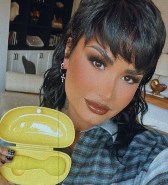 Demi Lovato presentó su nuevo juguete sexual. Fuente: Instagram