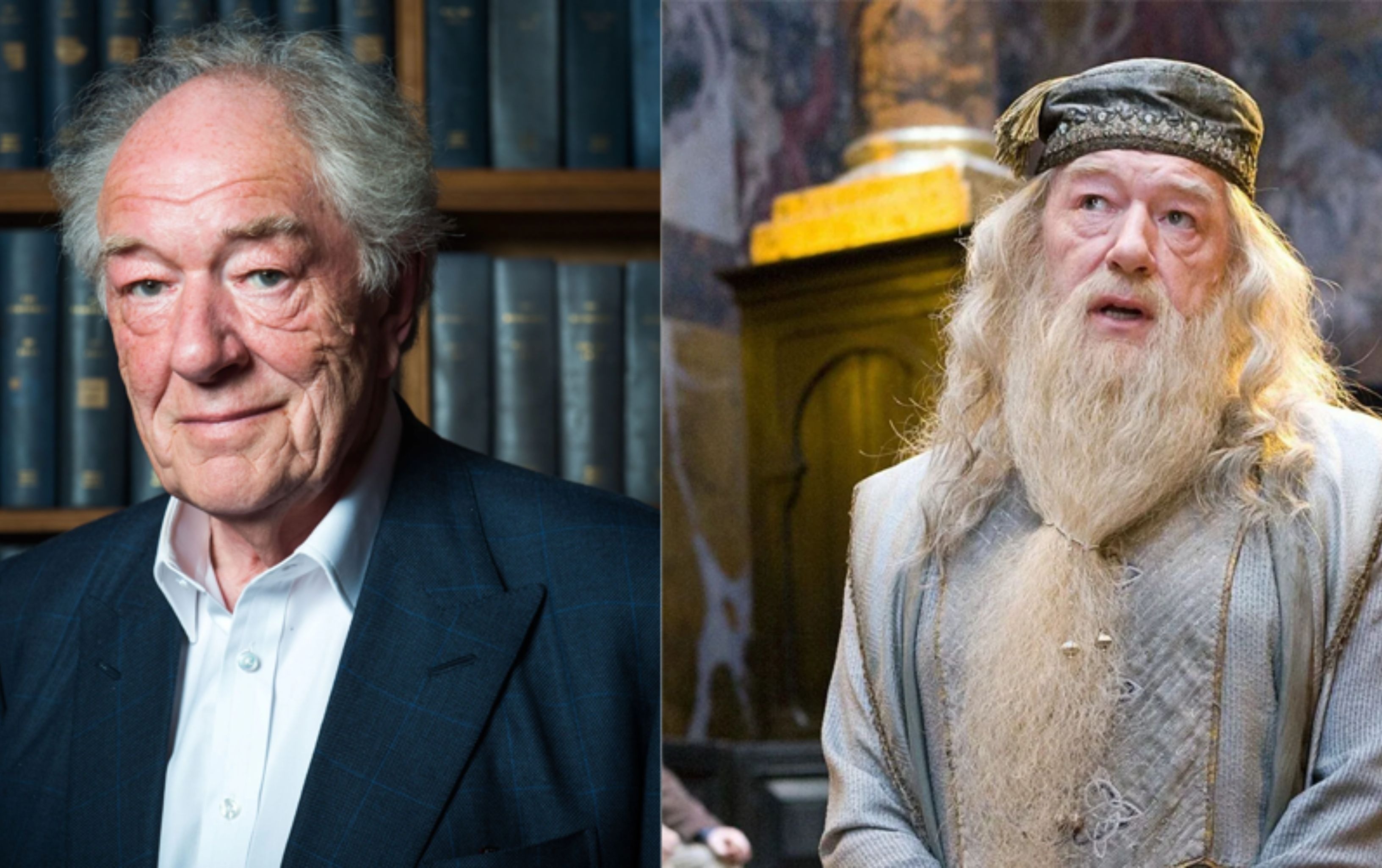 Michael Gambon se ganó el corazón de los fans de 'Harry Potter' por interpretar a Albus Dumbledore / AFP