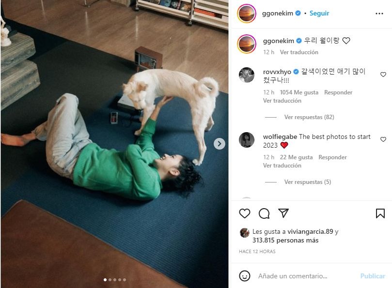 Kim Go Eun promueve la adopción de perros callejeros en Instagram 