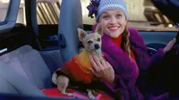 Legalmente Rubia: Reese Witherspoon anunció la muerte de Bruiser a sus 18 años