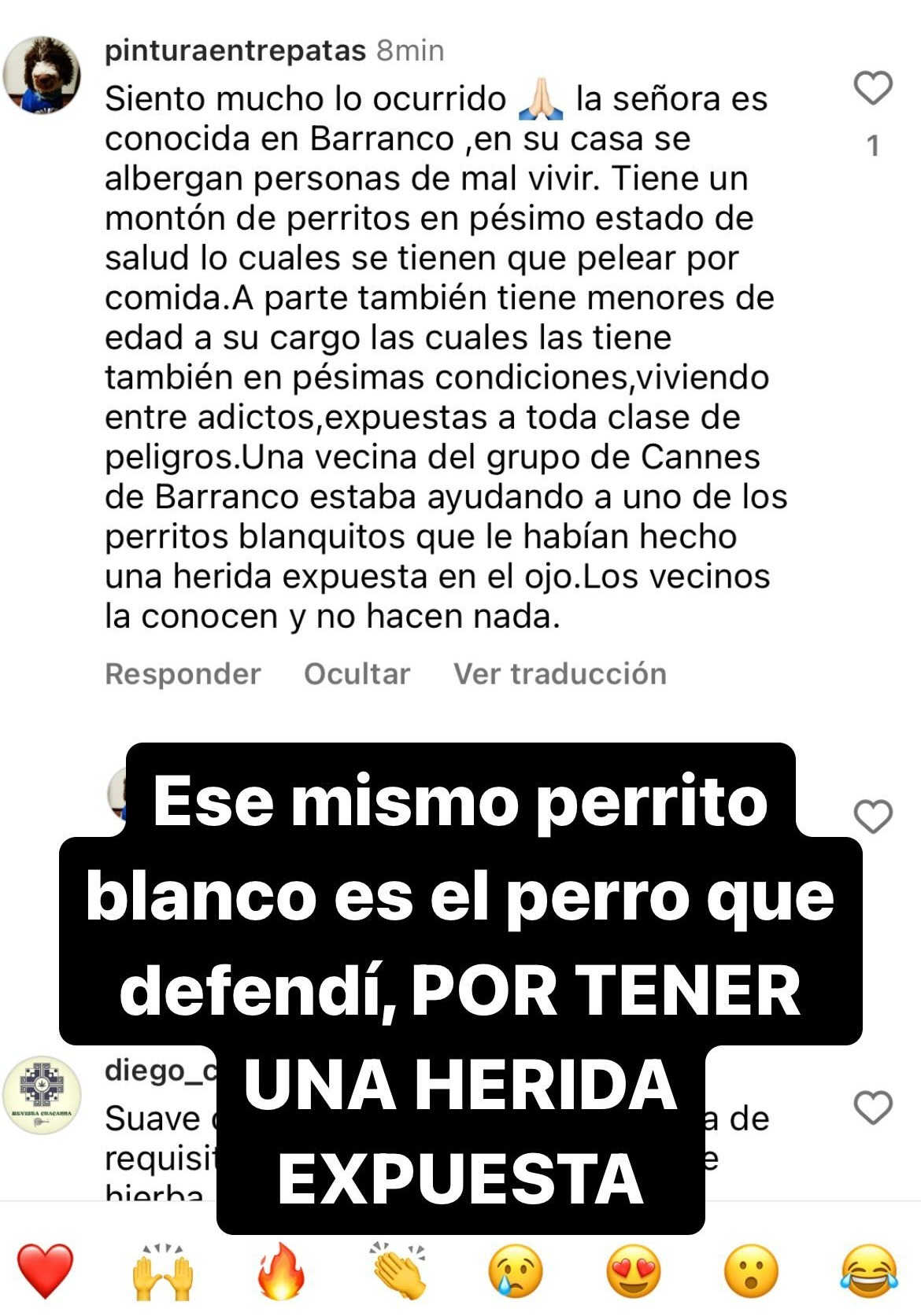 Lucía señala que quiso defender a un perrito herido | Instagram