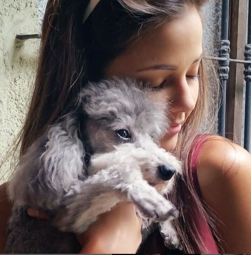 Hace unos días Luciana Fuster compartió en redes la historia de 'Upa' un perrito que abandonaron a su suerte en un departamento del cual sus dueños se mudaron/Foto: Instagram 