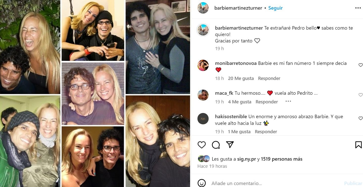 Cuñada de Pedro Suárez Vértiz se despidió así del cantante / Instagram