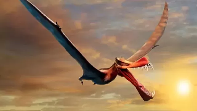 Australia: Científicos encuentran a un dinosaurio volador que era "lo más parecido a un dragón"