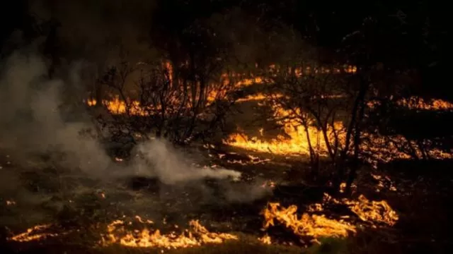 Superficie afectada por los incendios, supera las 39.000 hectáreas (Foto: BBC Mundo)