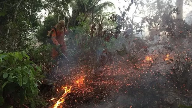 Colombia, Chile y Venezuela ofrecen ayuda a Brasil ante incendios en la Amazonía. Foto: EFE