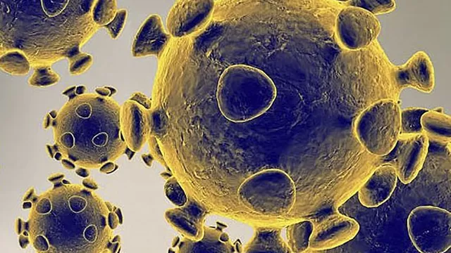 Coronavirus. Foto referencial: AFP