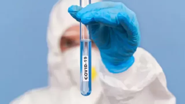 Coronavirus: Realizan con éxito pruebas preclínicas de vacuna contra COVID-19 en Alemania. Foto: Shutterstock referencial