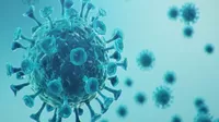 COVID-19: Investigadores logran obtener la primera imagen real en 3D del coronavirus
