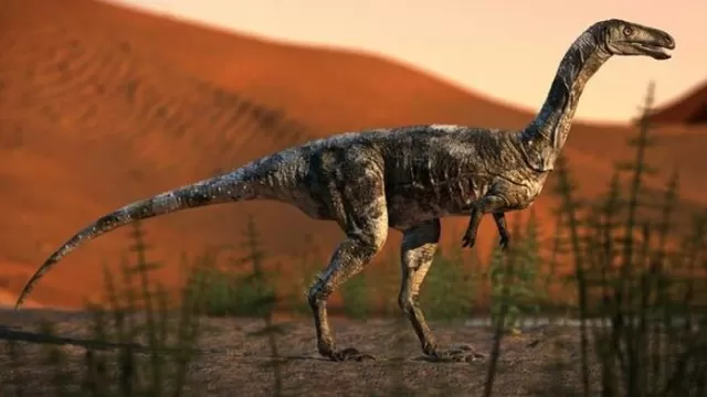 Descubren al Vespersaurus paraensis, nueva especie de dinosaurio hallada en Brasil. Foto: Rodolfo Nogueira