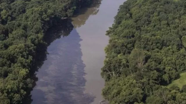 Estados Unidos: miles de peces murieron ahogados en whisky en aguas del río Kentucky